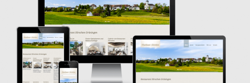 Wordpress SEO Hirschen Grüningen